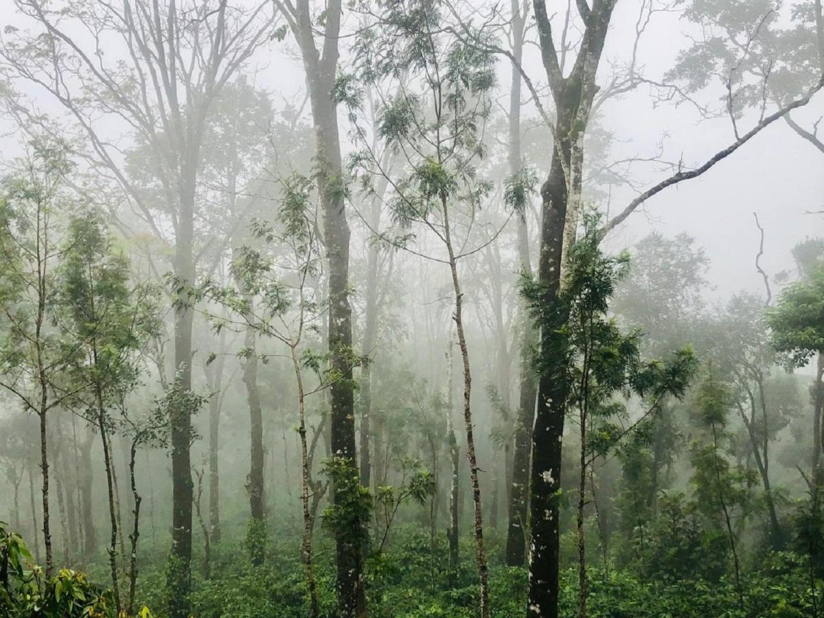 Coorg Wilderness Resort & Spa Madikeri Zewnętrze zdjęcie